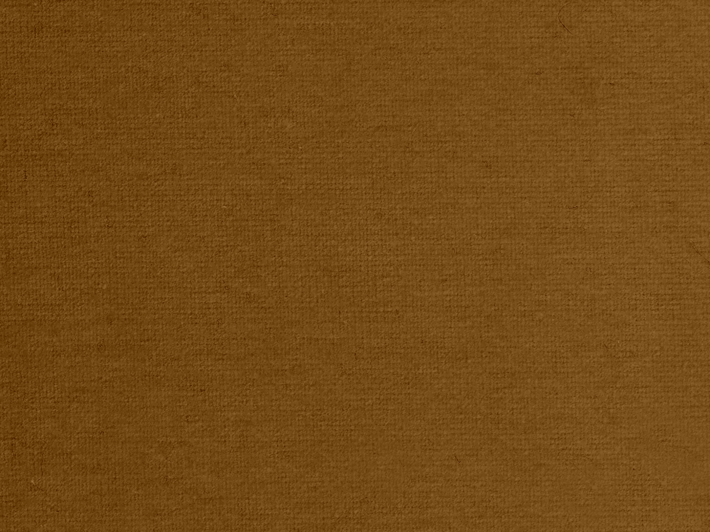 zoom colori RIVE GAUCHE camel, beige, talc